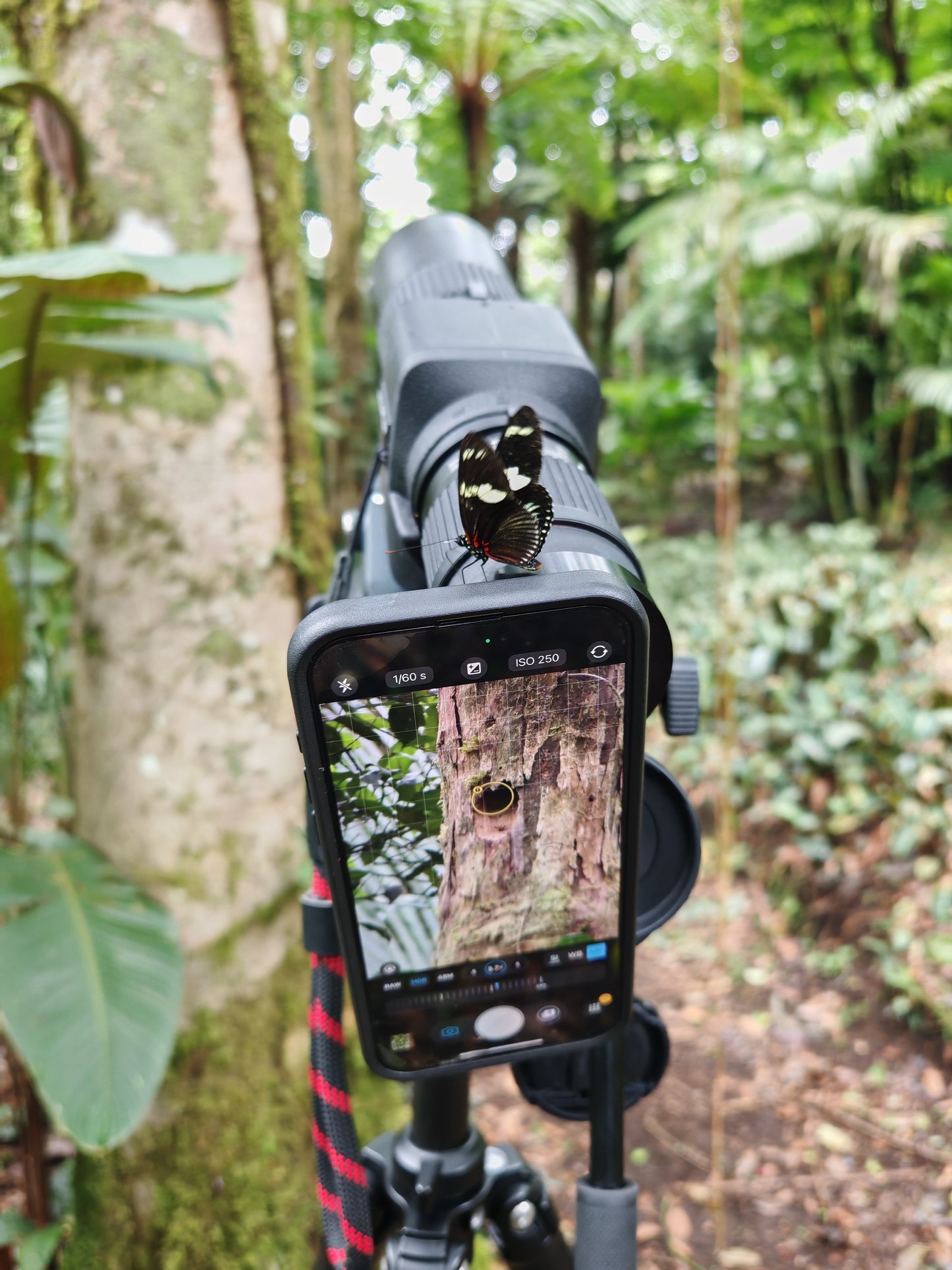 Spektiv APC 60 ED von KITE OPTICS